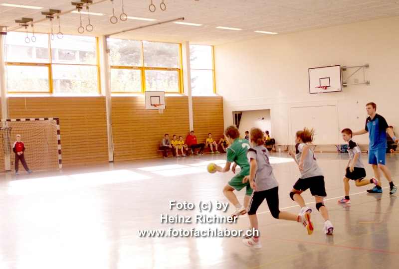 3110784 hvo_2.jpg